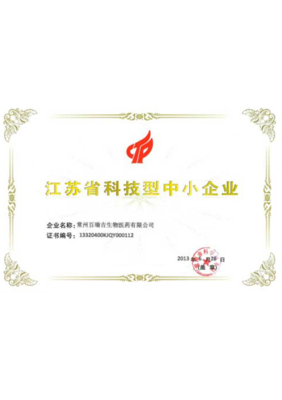 江蘇企業網站發展大事記 從門戶初建到數字生態演進